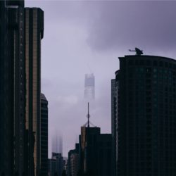StockSnap_9110612902
